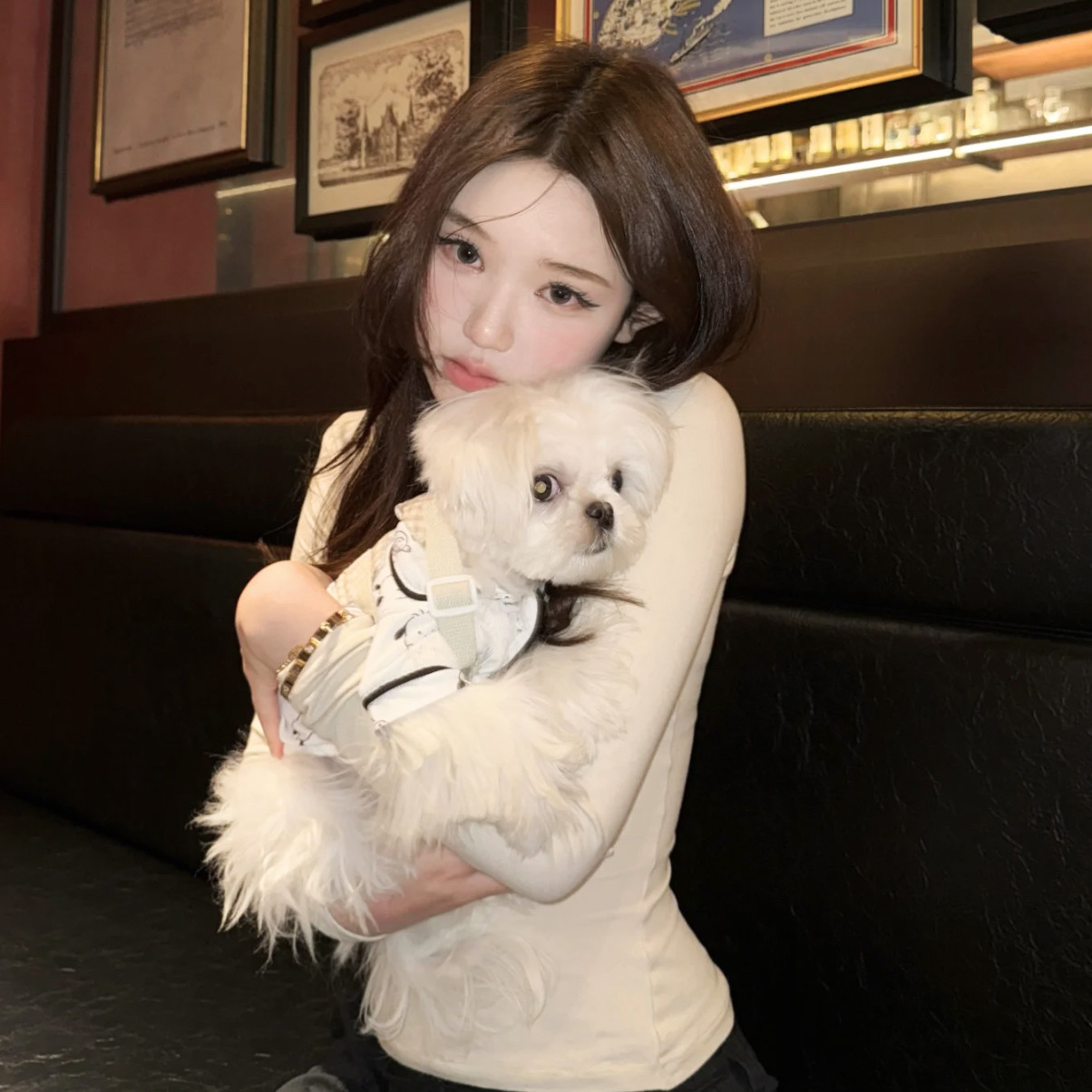 一区无需会员天美日本